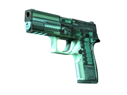 P250 | X-Ray