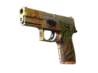 P250 | Inferno
