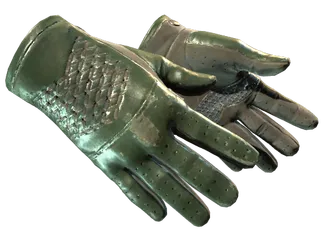 ★ Driver Gloves | Racing Green (Field-Tested)