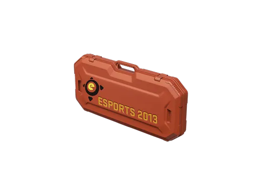 eSports 2013 Case