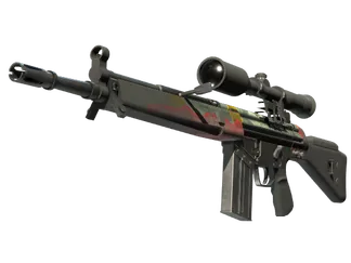 G3SG1 | Keeping Tabs (Battle-Scarred)