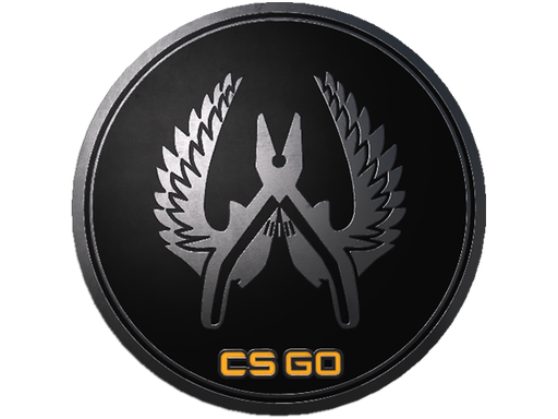 Guardian Elite Pin