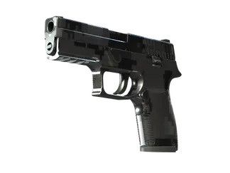 P250 | Metallic DDPAT