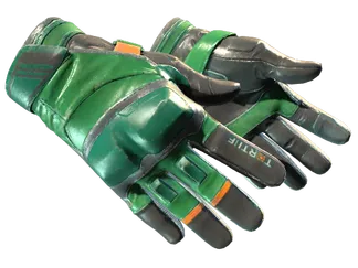 ★ Moto Gloves | Turtle (Well-Worn)