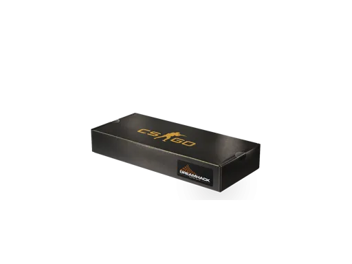 DreamHack 2013 Souvenir Package