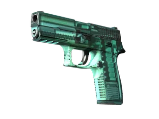 P250 | X-Ray (Field-Tested)