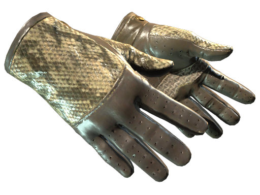 ★ Driver Gloves | Diamondback (Field-Tested)