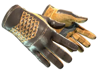 ★ Driver Gloves | Overtake (Well-Worn)