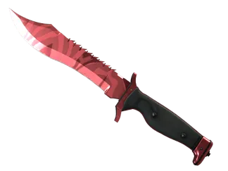 ★ Bowie Knife | Slaughter