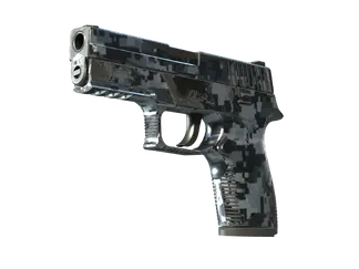 P250 | Steel Disruption