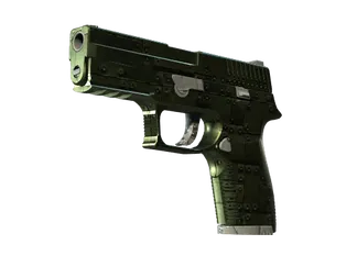 P250 | Iron Clad