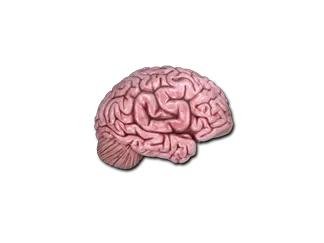 Sticker | CS On The Mind