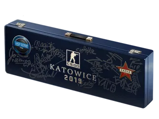 Katowice 2019 Cache Souvenir Package