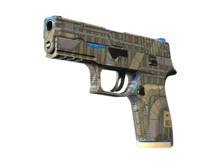 P250 | Exchanger (Factory New)