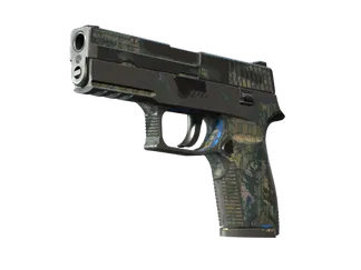 P250 | Exchanger