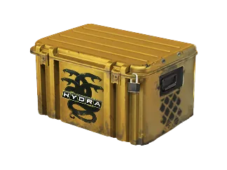 Operation Hydra Case