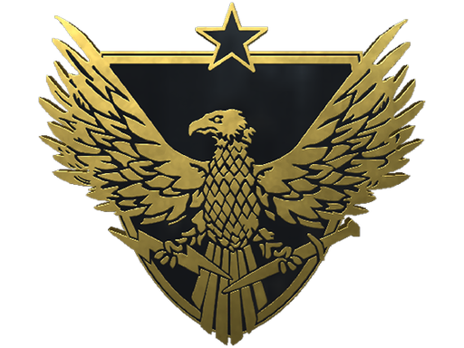 Brigadier General Pin