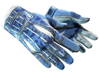 ★ Sport Gloves | Amphibious (Field-Tested)