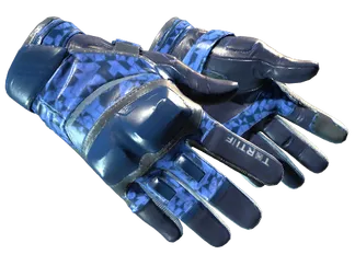 ★ Moto Gloves | Polygon