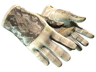 ★ Driver Gloves | King Snake (Well-Worn)