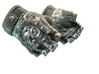 ★ Broken Fang Gloves | Unhinged (Well-Worn)