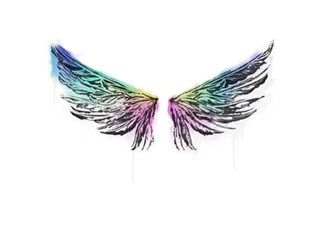 Sealed Graffiti | Wings