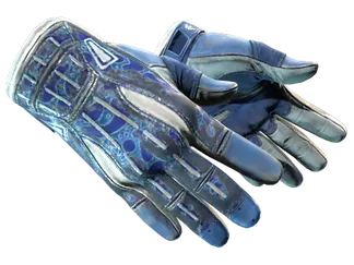 ★ Sport Gloves | Amphibious (Battle-Scarred)