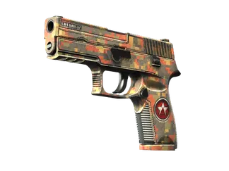 P250 | Red Rock