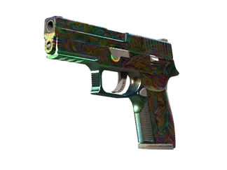 StatTrak™ P250 | Visions (Well-Worn)