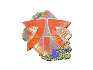 Sticker | Fnatic (Holo)