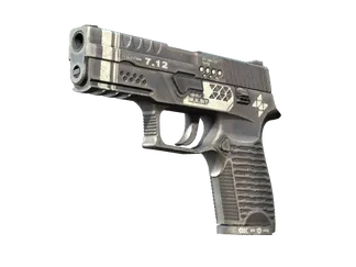 StatTrak™ P250 | Re.built (Factory New)