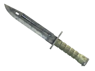 ★ Bayonet | Stained (Well-Worn)
