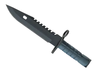 ★ M9 Bayonet | Night