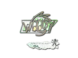 Sticker | WOOD7 (Holo)