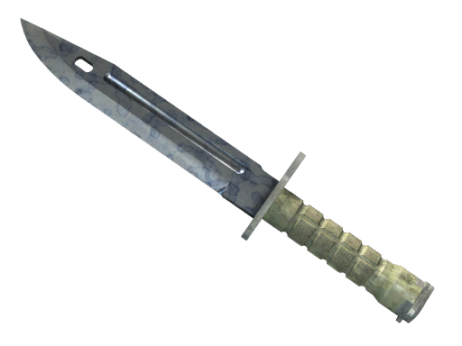 ★ Bayonet | Stained