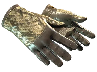 ★ Driver Gloves | Diamondback