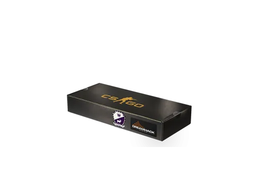 DreamHack 2014 Cobblestone Souvenir Package