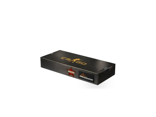 DreamHack 2014 Cache Souvenir Package