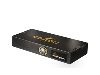 DreamHack 2014 Dust II Souvenir Package