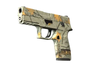 P250 | Modern Hunter