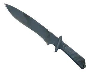 ★ Classic Knife | Night Stripe
