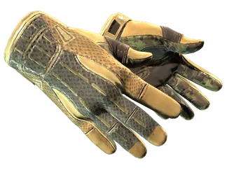 ★ Sport Gloves | Arid