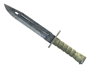 ★ StatTrak™ Bayonet | Stained (Factory New)