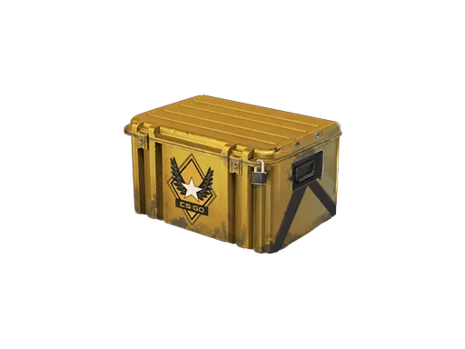 Winter Offensive Weapon Case