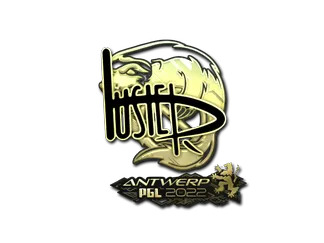Sticker | buster (Gold)