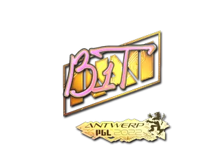 Sticker | b1t (Holo)