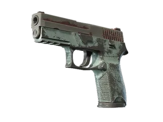 P250 | Copper Oxide (Battle-Scarred)