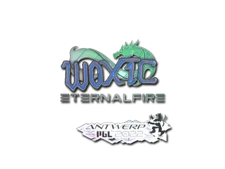 Sticker | woxic (Holo)