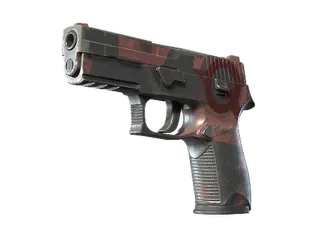 P250 | Constructivist