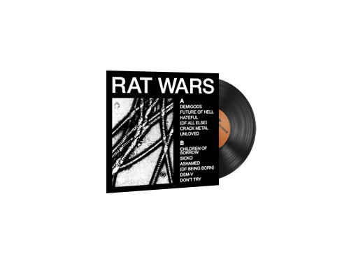 StatTrak™ Music Kit | HEALTH, RAT WARS